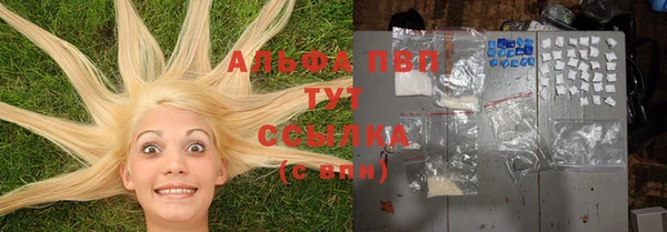 спиды Алзамай