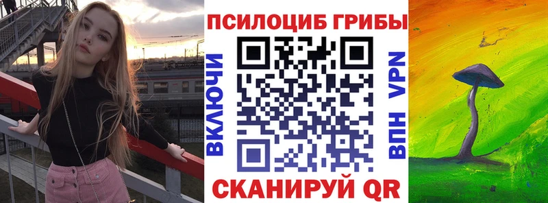 купить наркотики сайты  Первоуральск  Псилоцибиновые грибы Psilocybine cubensis 